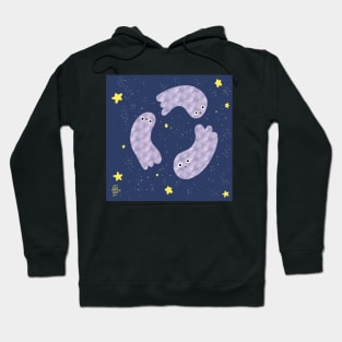 Starlight Spooks. Hoodie